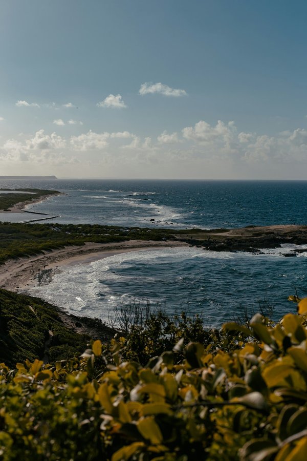 Découvrir la nature en guadeloupe : conseils pour profiter de l'expérience